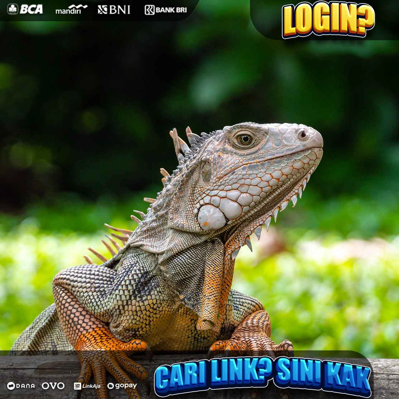APK Freechip 5k Slot Gacor Malam Ini Dari Pg Soft Thailand